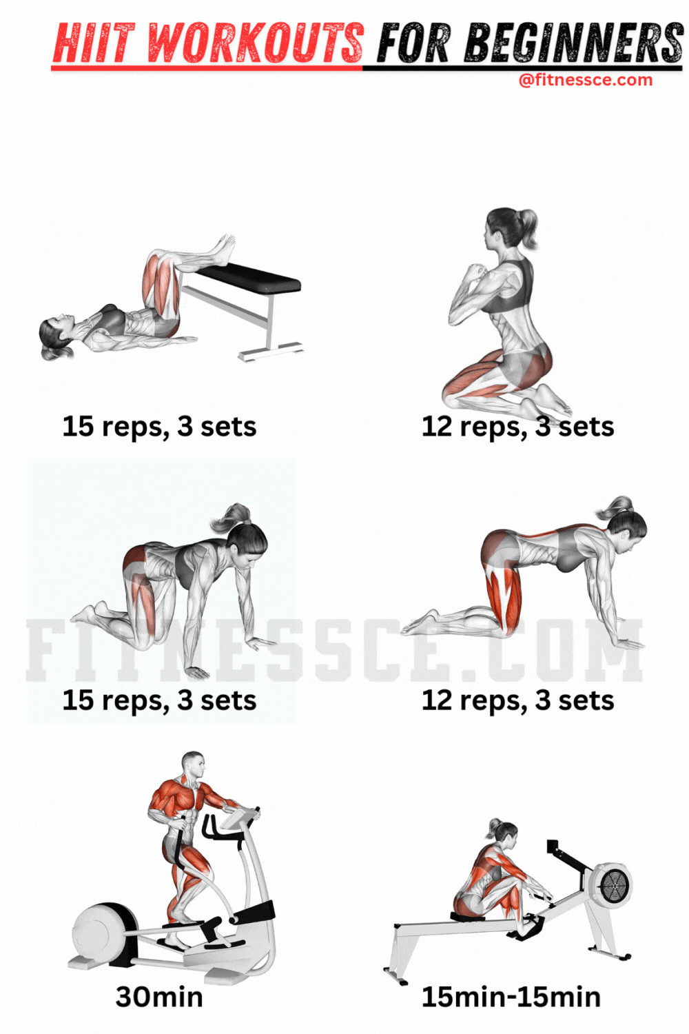 HIIT workouts for beginners