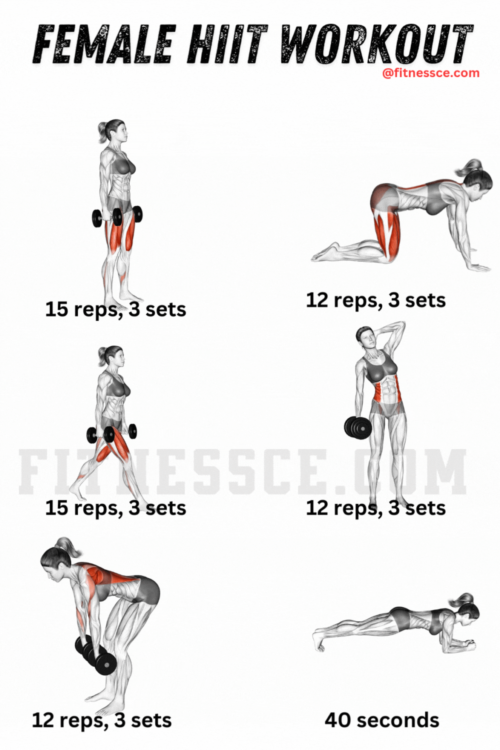 Female HIIT Workout