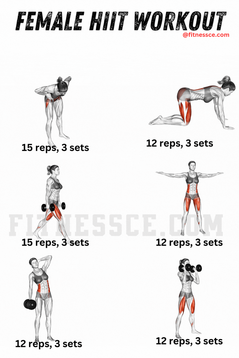 Female HIIT Workout