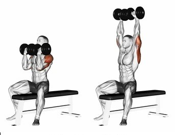 shoulder workout with dumbbells