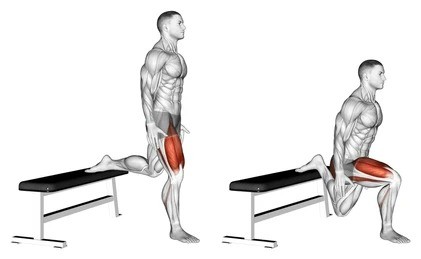 Split Squats using dumbbells