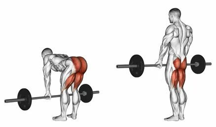 dumbbell leg workout