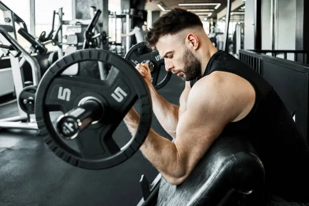 dumbbell and bench workout