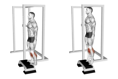 Calcium Raises using dumbbells