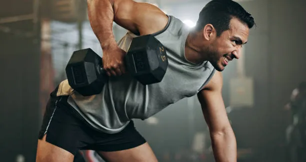 dumbbell and bench workout