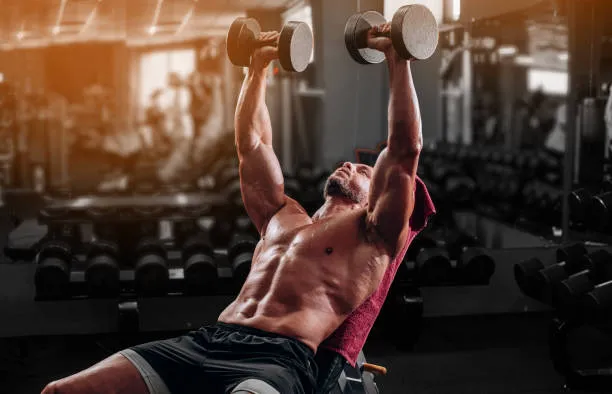 dumbbell and bench workout