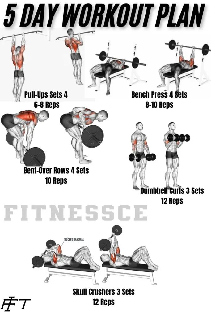 5 day workout plan