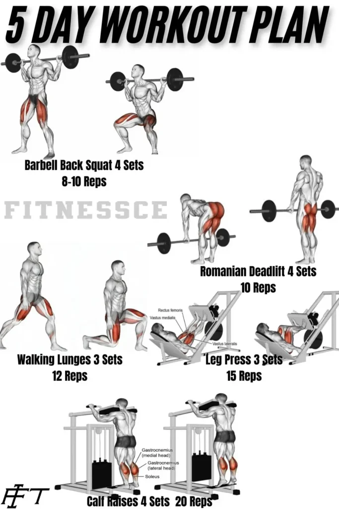 5 day workout plan