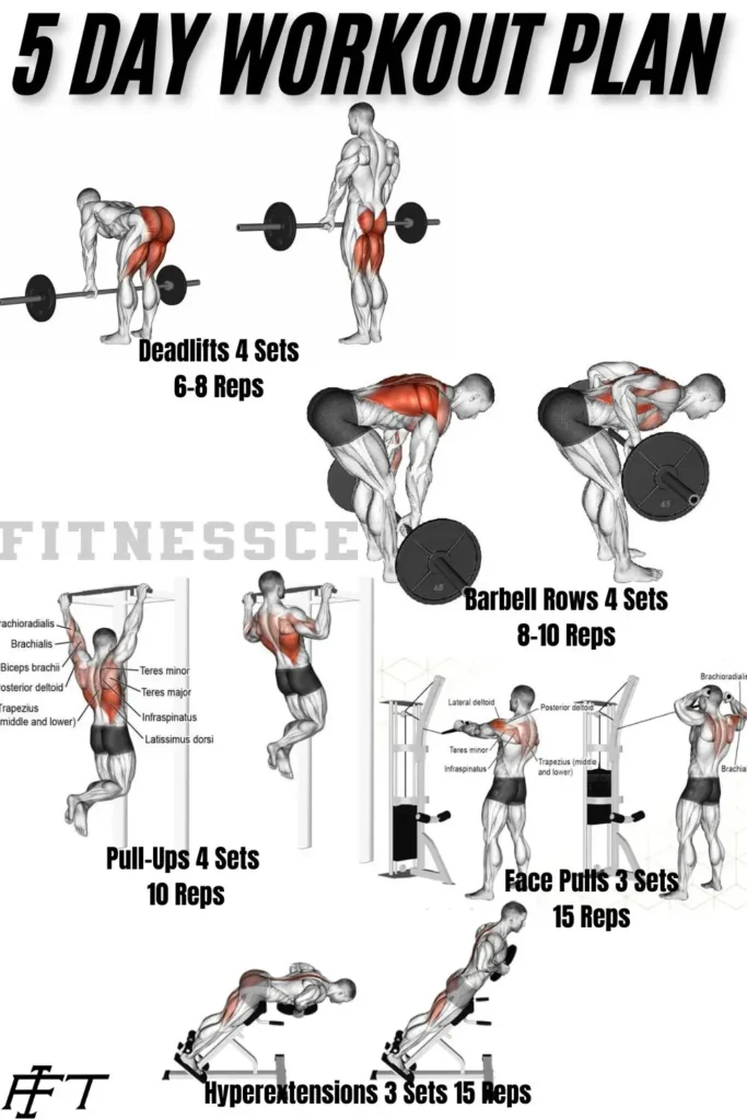 5 day workout plan