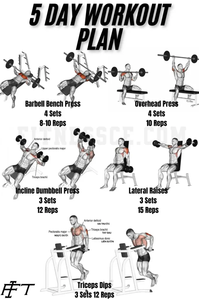 5 day workout plan