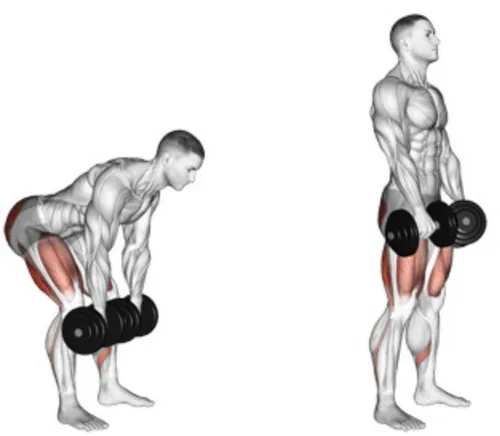 leg workout plan