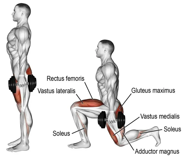 leg workout plan