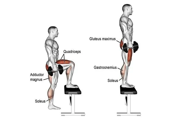 leg workout plan