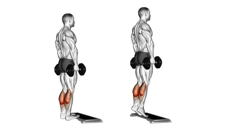 leg workout plan